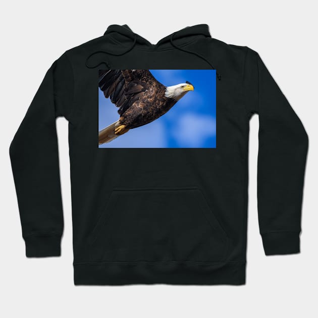 Soaring Like an Eagle Hoodie by jbbarnes